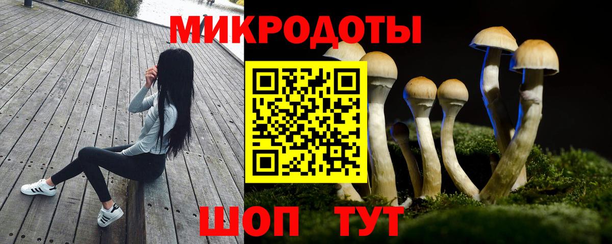Галлюциногенные грибы Cubensis Томск