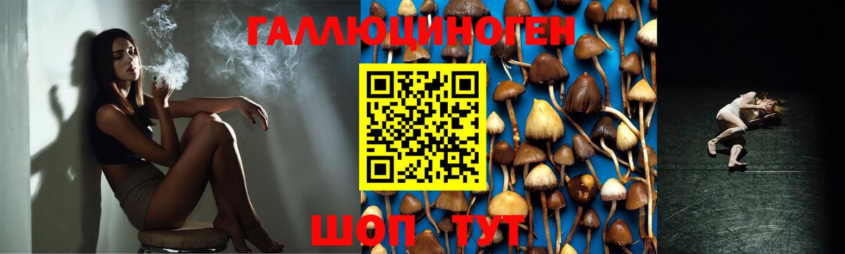 Метамфетамин Томск